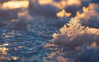 Newsletter Bild Winterleuchten