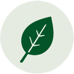 Symbol Reinheit