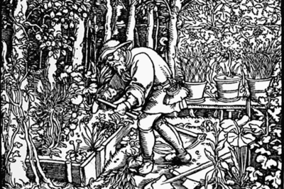 Wirkstoffe Footer1